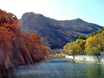 澳门精准正版免费大全14年新，白马寺正骨膏